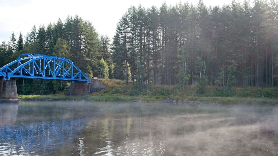 A blue bridge over a calm river with dense forest in the background.