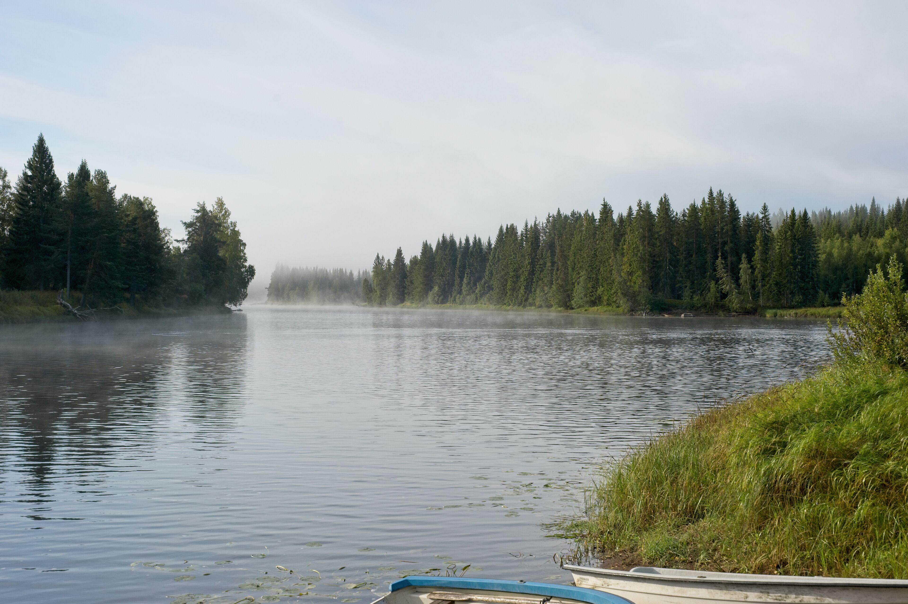 A foggy morning near a river early september in the Vansbro kommun in Dalarna,Sweden.