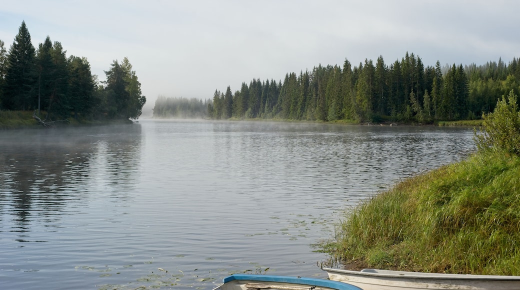 A foggy morning near a river early september in the Vansbro kommun in Dalarna,Sweden.
