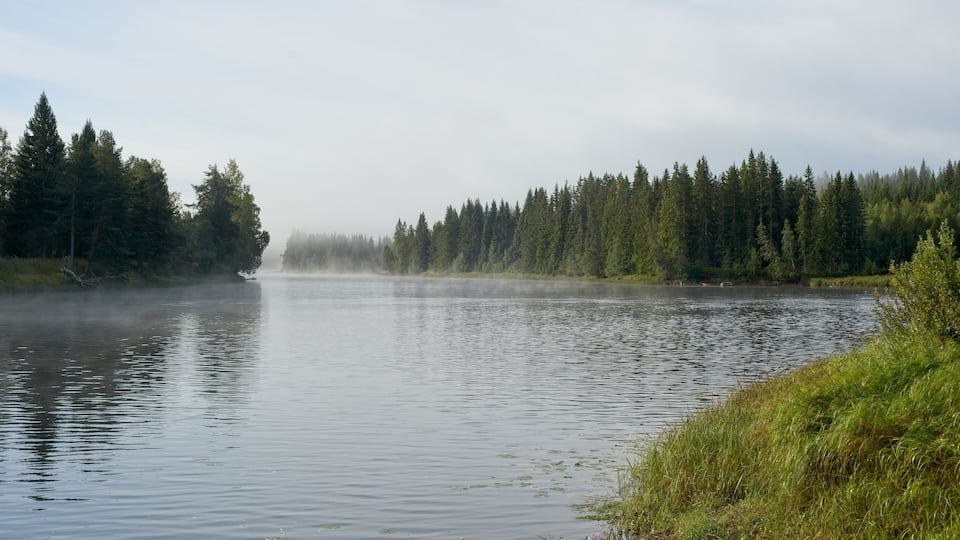 A calm lake with a misty forest in the background.