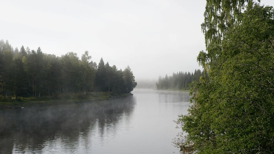 A calm river surrounded by dense forest, with mist rising from the water.