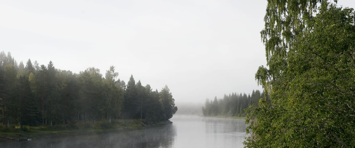 A calm river surrounded by dense forest, with mist rising from the water.