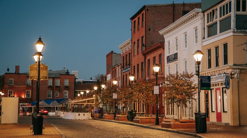 Fells Point featuring night scenes and a city