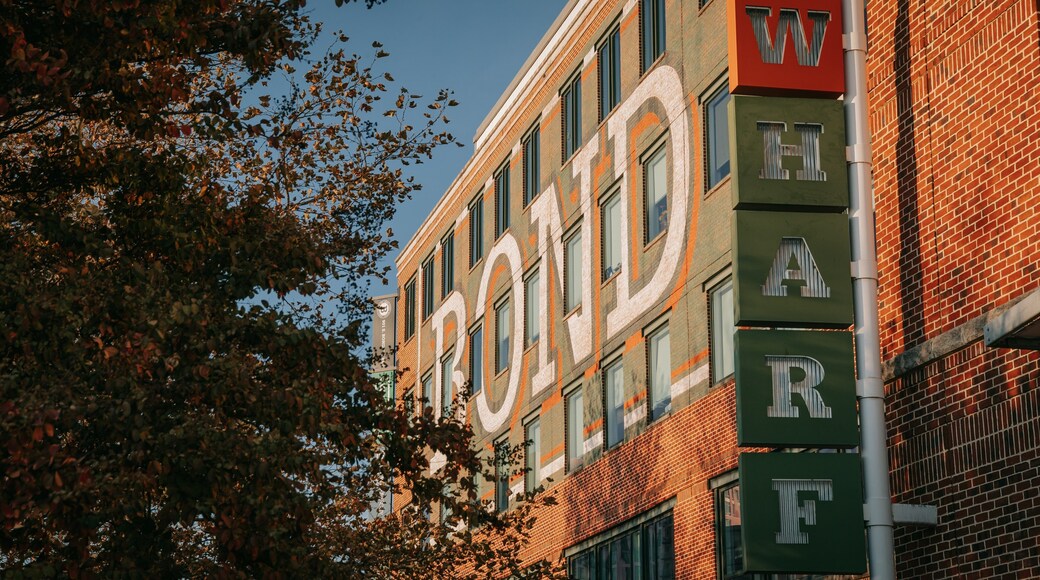 Fells Point featuring outdoor art