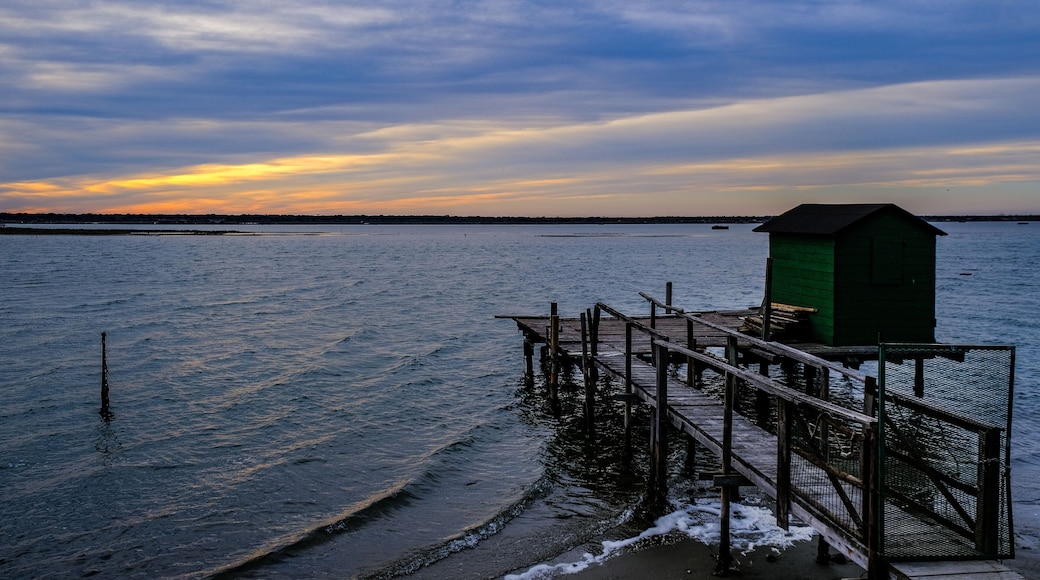 Fishing hunt under Mackerel Skies on sunset in Piallassa della Baiona, Marina Romea , Italy