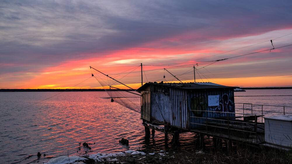 Fishing hunt under Mackerel Skies on sunset in Piallassa della Baiona, Marina Romea , Italy