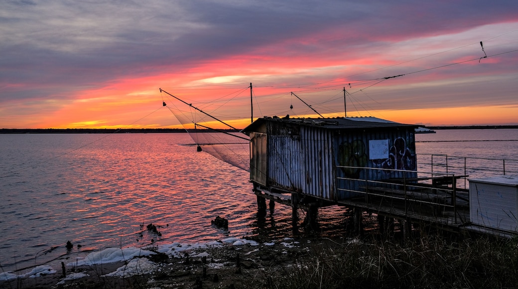 Fishing hunt under Mackerel Skies on sunset in Piallassa della Baiona, Marina Romea , Italy