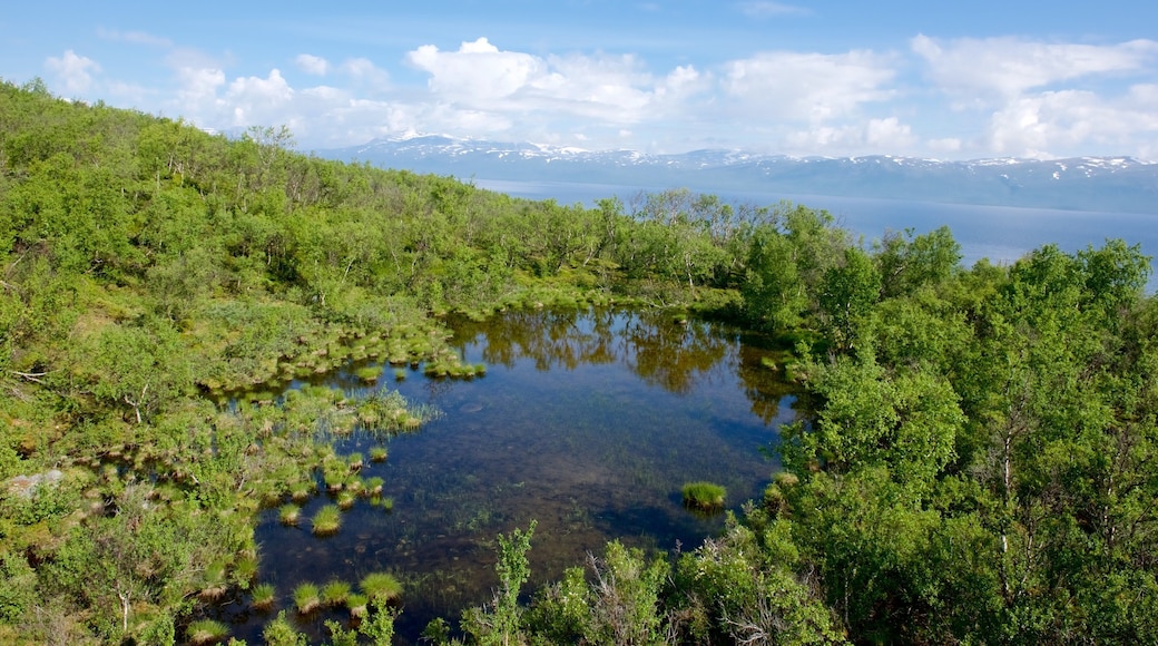 Abisko featuring a lake or waterhole and forest scenes