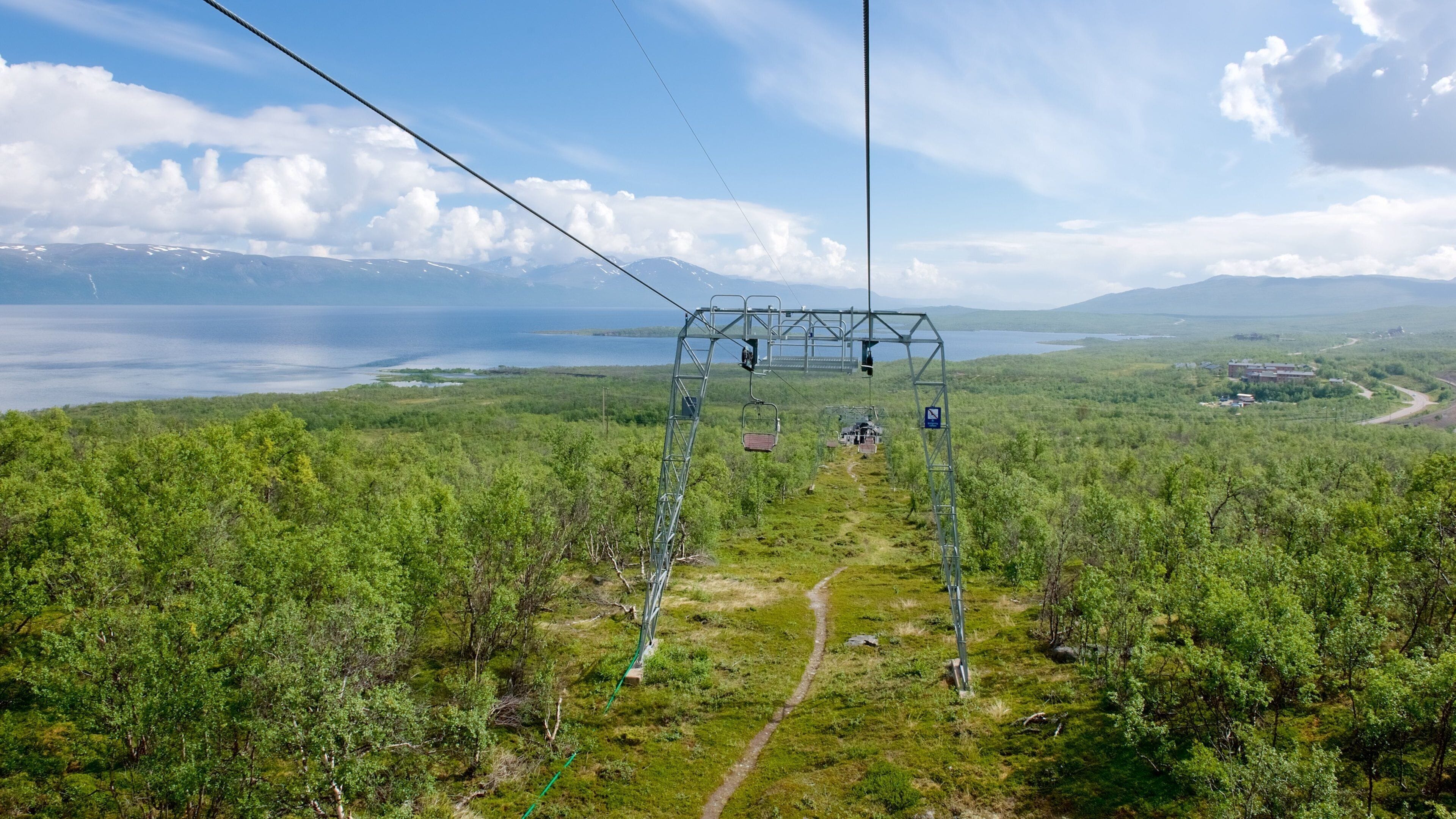 Abisko featuring forests and a gondola