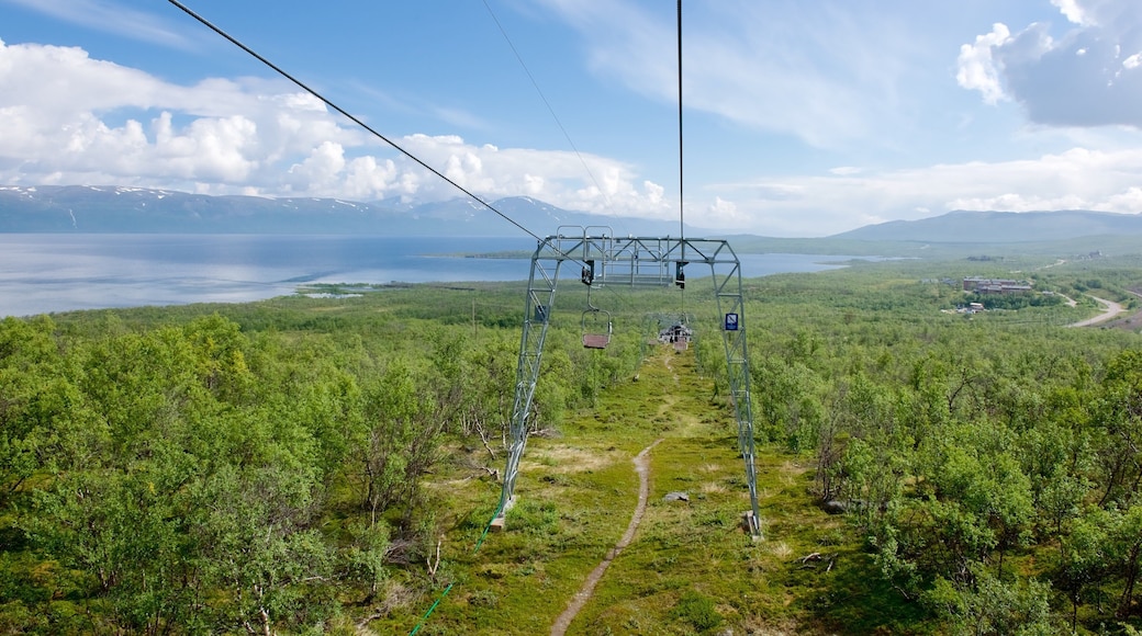 Abisko featuring forests and a gondola