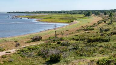 Shoreline or beach at Sandskar island Haparanda Archipelago National Park. Haparanda Sandskar is an island in Sweden's northernmost Archipelago.