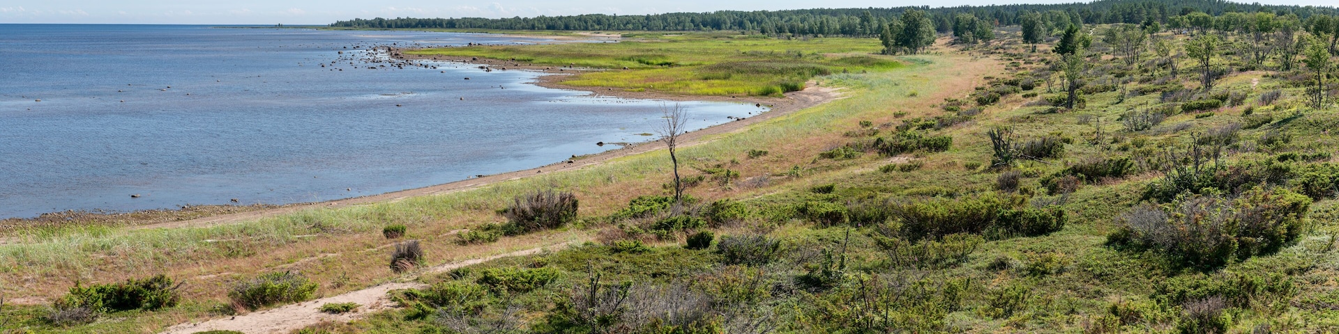 Shoreline or beach at Sandskar island Haparanda Archipelago National Park. Haparanda Sandskar is an island in Sweden's northernmost Archipelago.