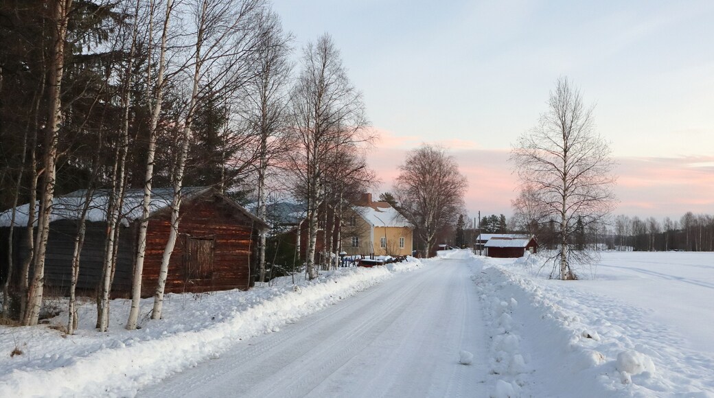 Vindeln / Sweden - December 30 2019: Village view