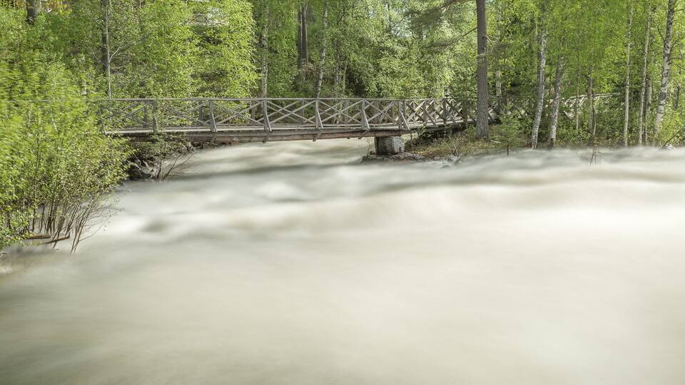 A wooden bridge over a fast-flowing river surrounded by dense green forest.