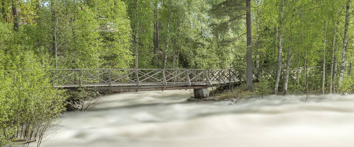 A wooden bridge over a fast-flowing river surrounded by dense green forest.