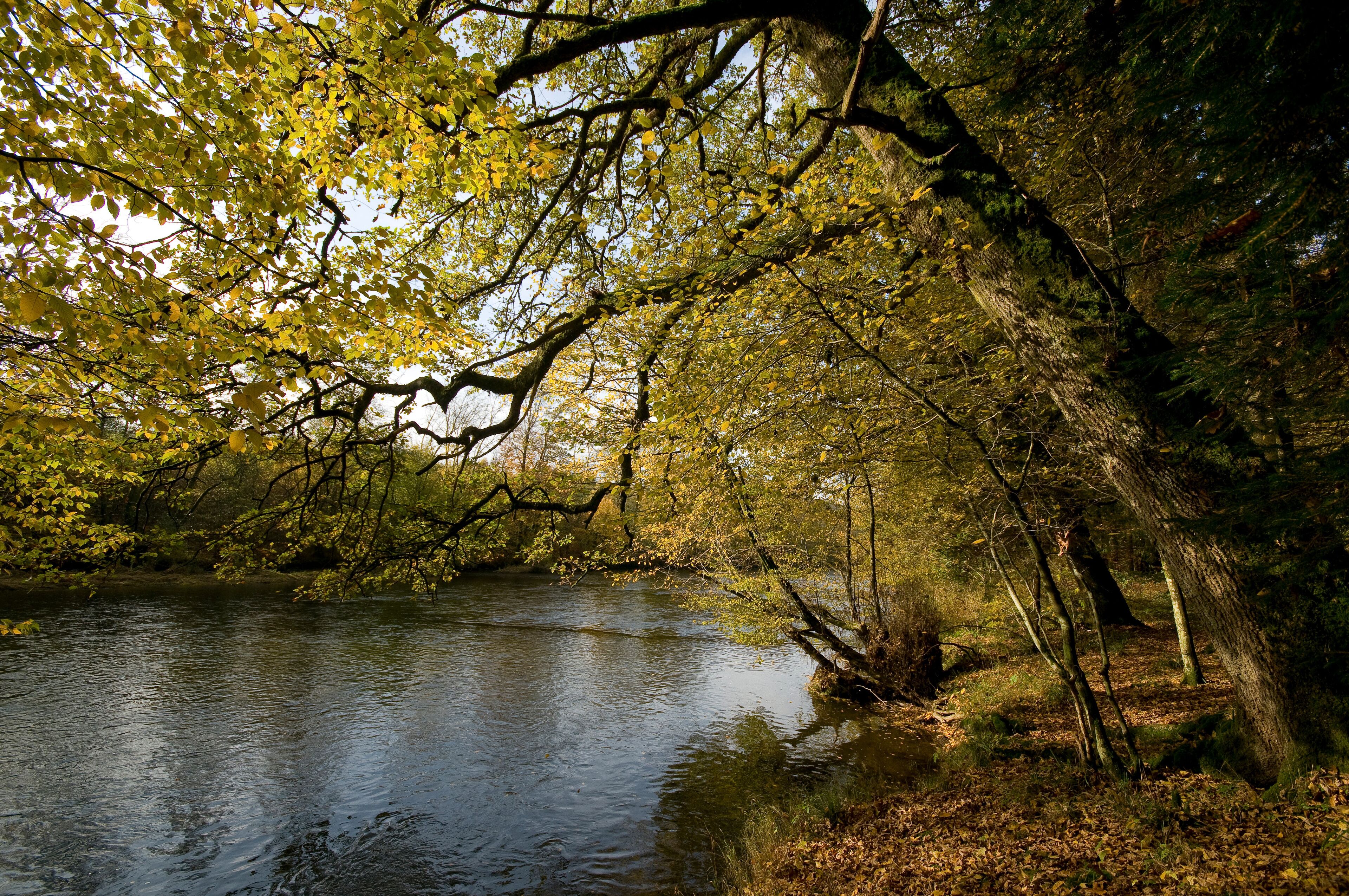 Vallée de la Semoy - Belgique