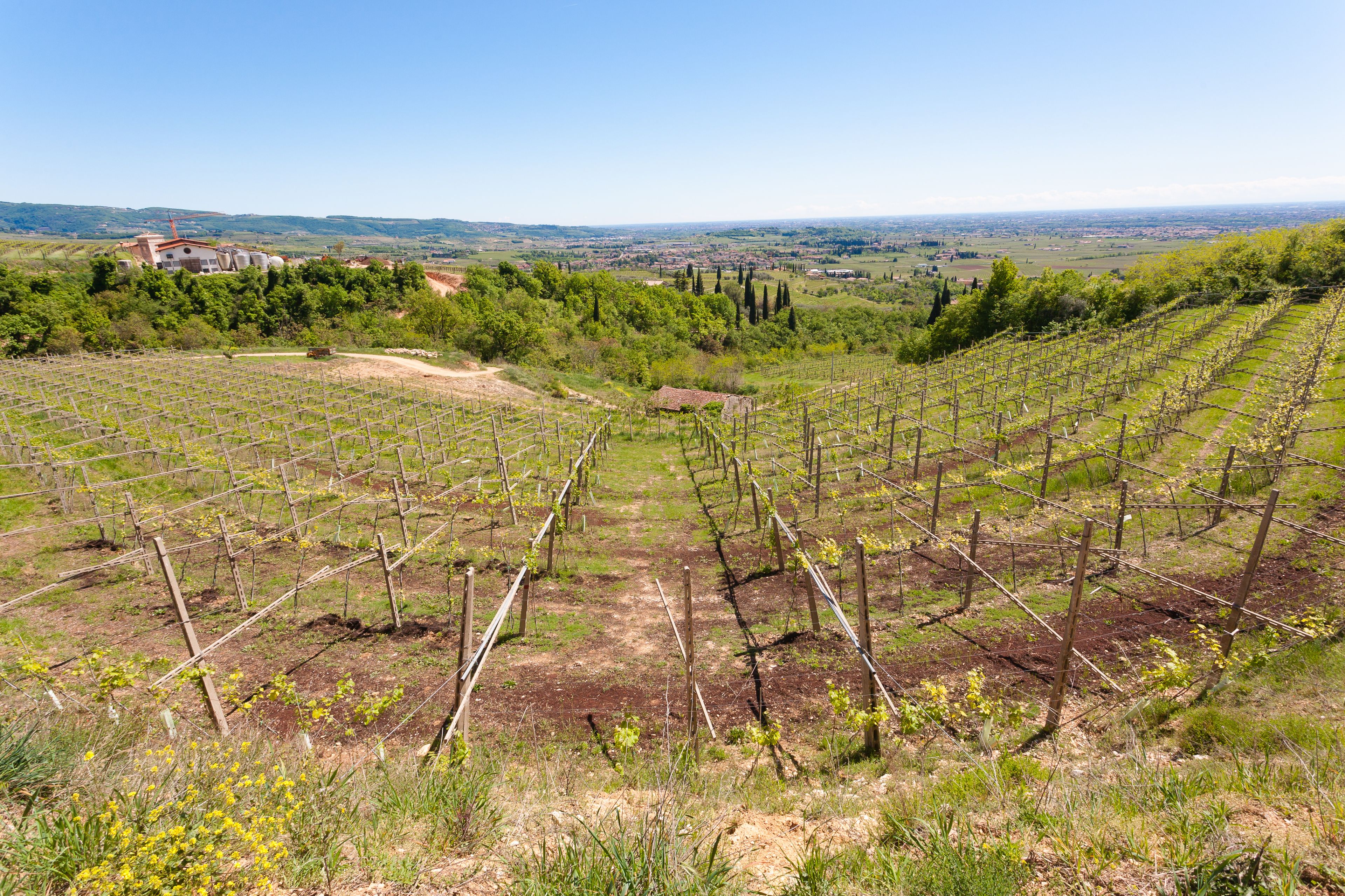 Sant'Ambrogio di Valpolicella