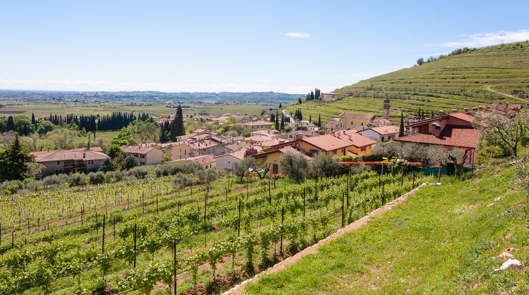 Sant'Ambrogio di Valpolicella