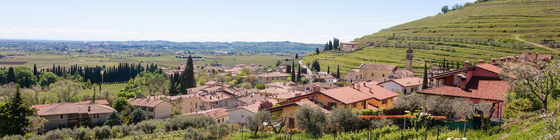 A rural landscape with vineyards, terraced fields, and traditional buildings.