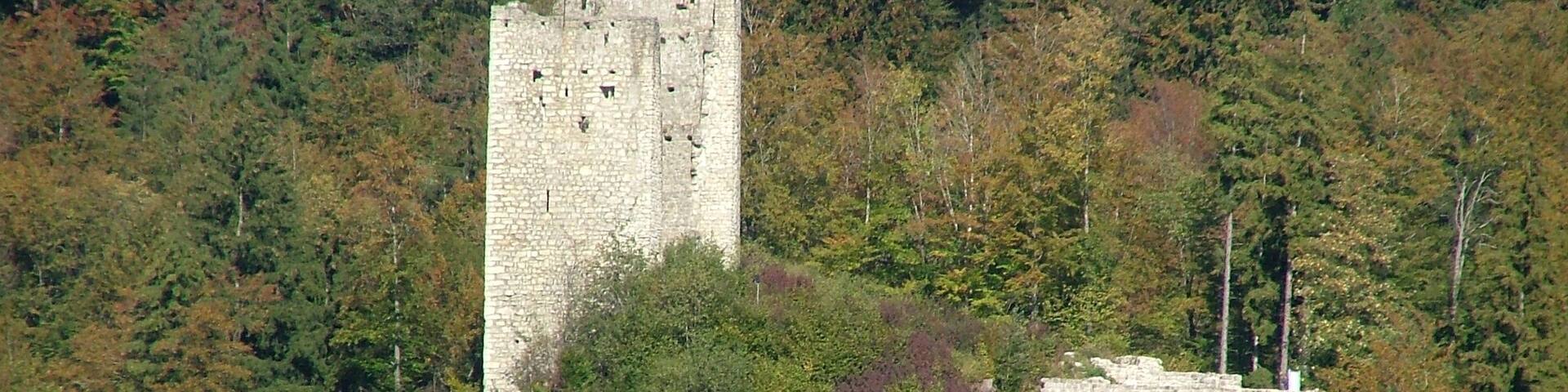 A medieval stone tower surrounded by dense forest.