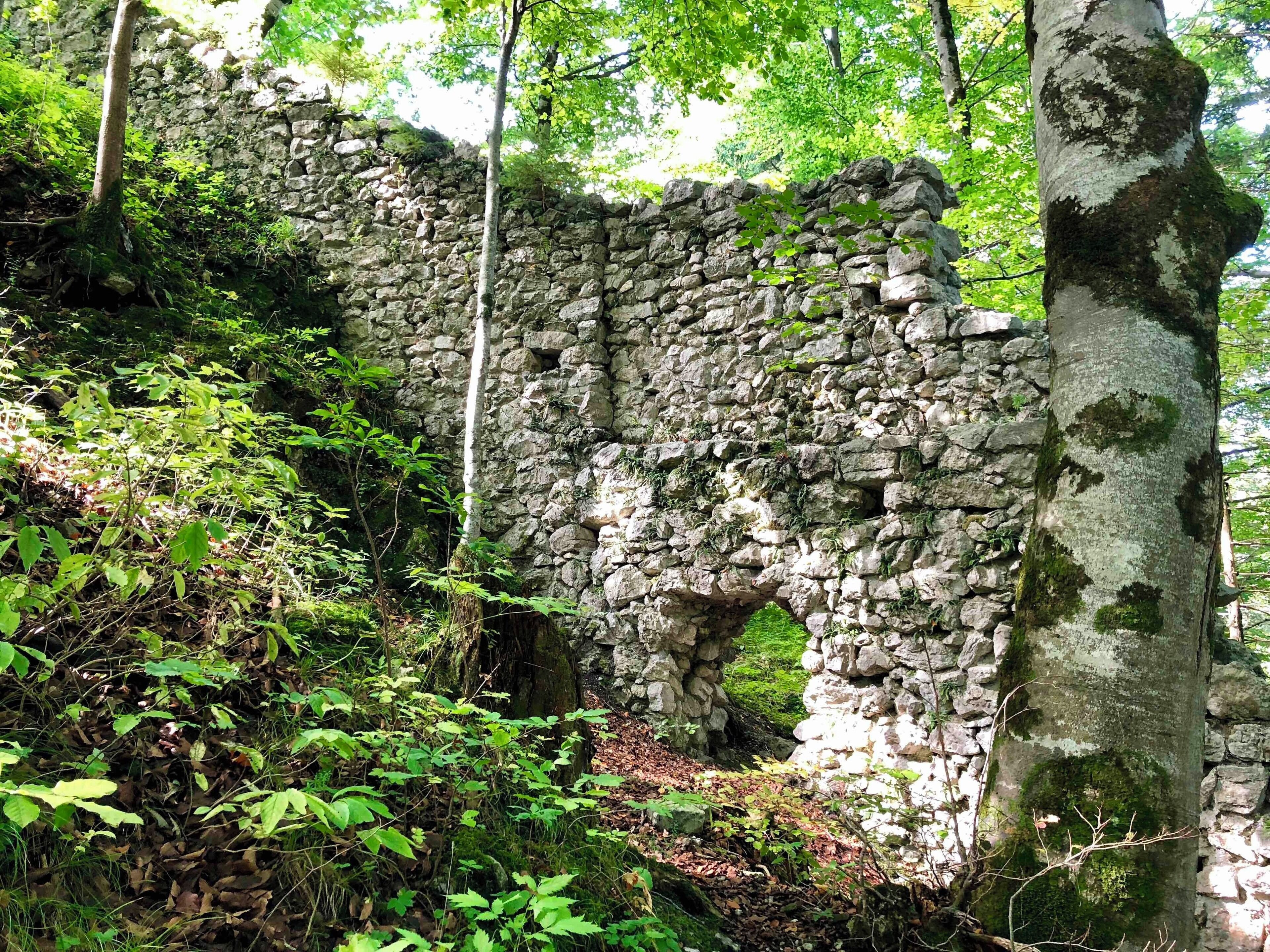 A stone ruin surrounded by dense forest.
