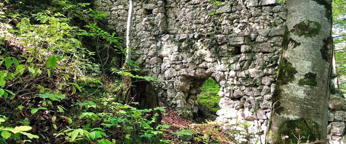 A stone ruin surrounded by dense forest.