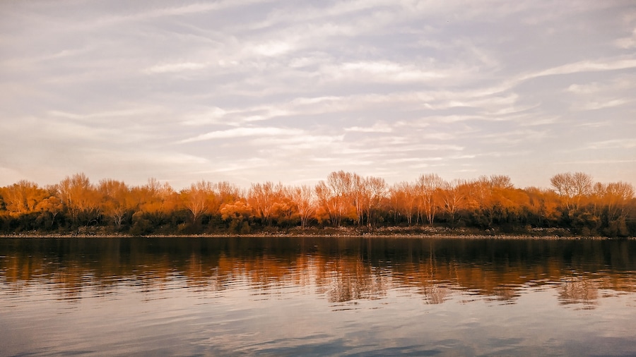 Ein ruhiger See mit Spiegelungen von Bäumen und einem bewölkten Himmel.