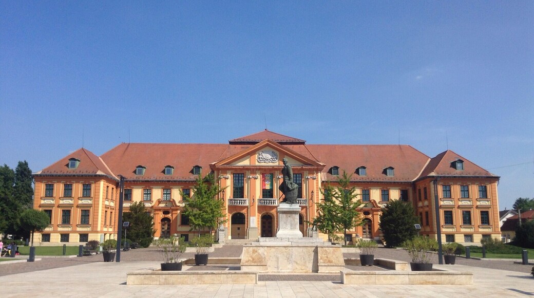 The Major's office in the Hungarian town of Komarom. A very colourful example of Austro Hungarian architecture.
#Blue
