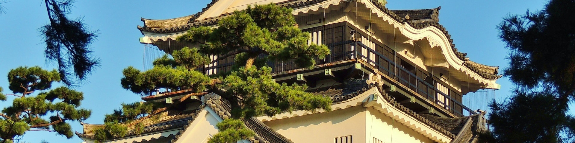 Okazaki Castle 岡崎城