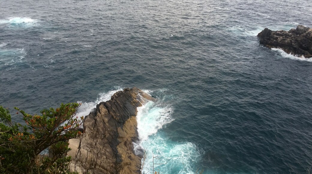 Capable of going immediately from Shikoku hallowed ground No. 38 No. Fudasho, is Cape southwest of Shikoku. This sea is Pacific Ocean,
If multi-you fall, you die.
However, it is very beautiful place. Unfortunately when I arrived in the evening, I was a little cloudy.
Here is also famous for the typhoon to frequently pass. When it is approaching the Japanese TV station will relay the status of the waves and wind and rain from here.