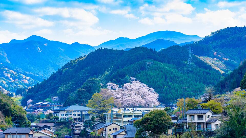 A mountainous landscape with a bridge, houses, and cherry blossoms.