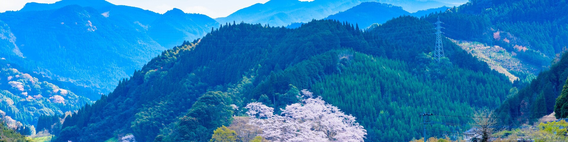 最高に美しい晴天空の球磨川風景
桜咲く季節
日本 熊本県 人吉球磨郡
The most beautiful scenery of the Kuma River in the clear sky
Cherry blossom season
Japan, Kumamoto Prefecture, Hitoyoshi Kuma District