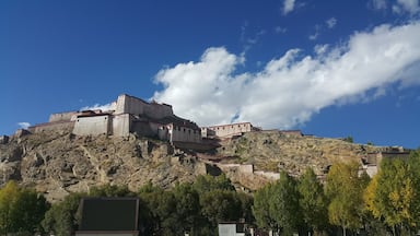 Last fighting castle with England corps in the 19 centry.
All tibetan died. All heros are being at present