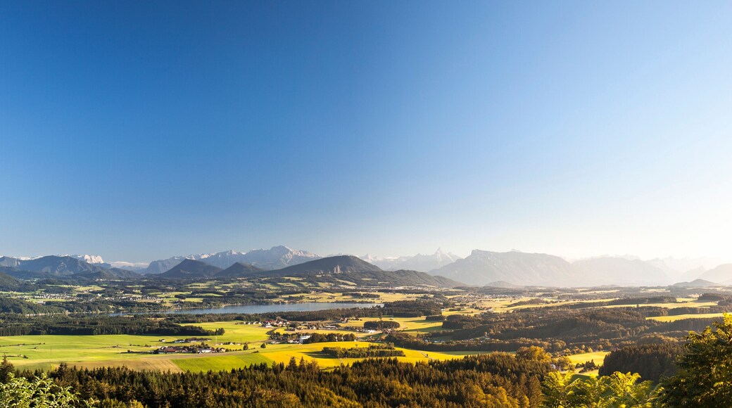 Seekirchen am Wallersee