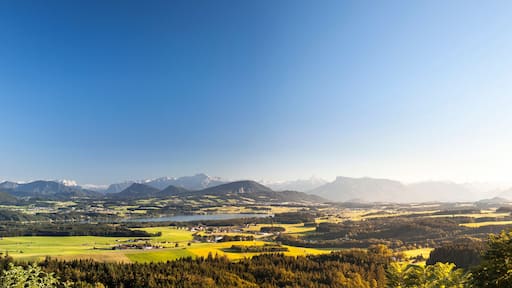 Seekirchen am Wallersee