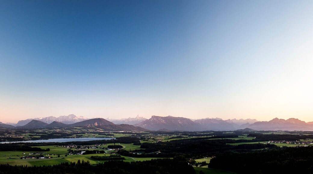 Seekirchen am Wallersee