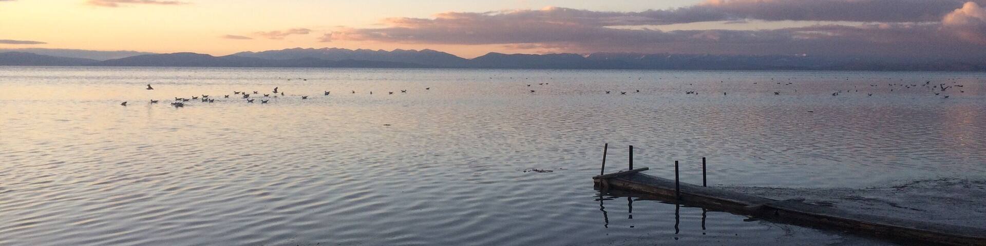 Озеро Маносаровар на рассвете.