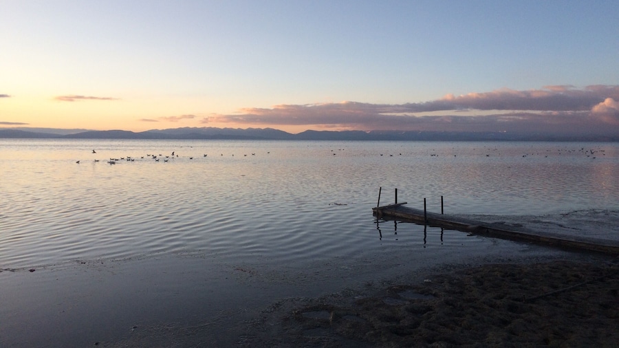 Озеро Маносаровар на рассвете.