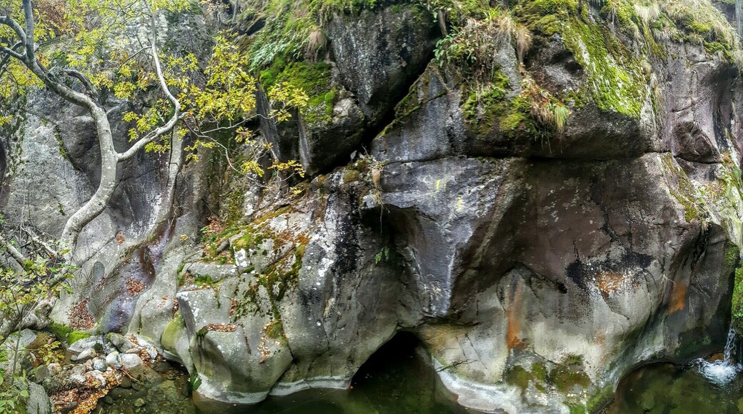 Късна есен, малко вода, много красота# late autumn,less water, much magnificent :-)