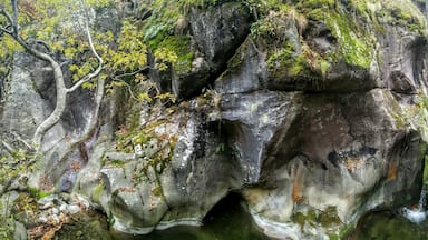 Късна есен, малко вода, много красота# late autumn,less water, much magnificent :-)