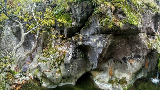 Късна есен, малко вода, много красота# late autumn,less water, much magnificent :-)