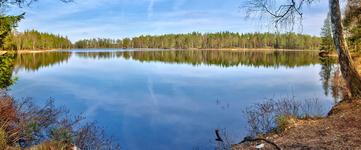 A calm lake surrounded by trees and a clear sky.