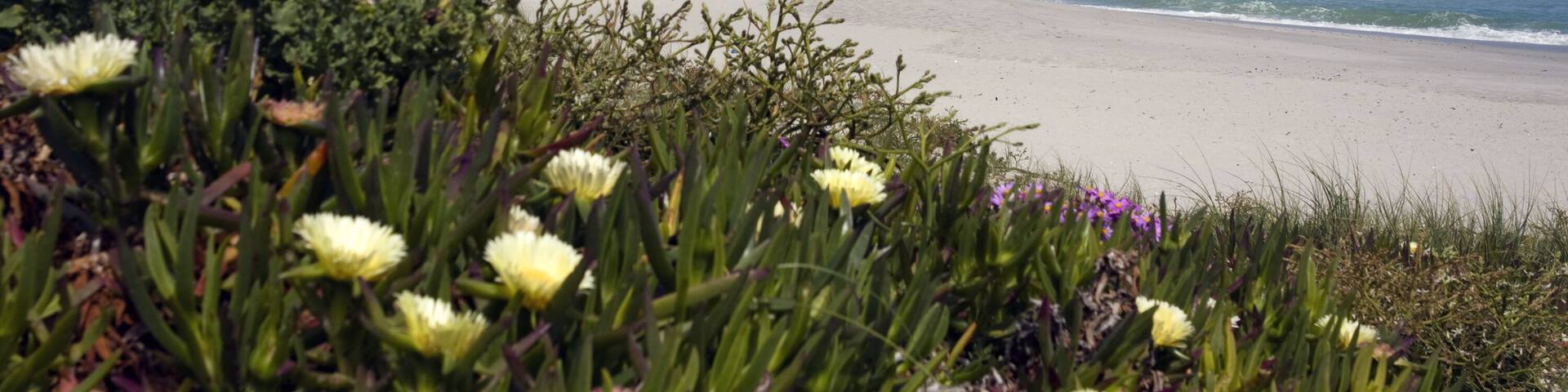 View of Table Mountain and the City of Cape Town from Bloubergstrand, South Africa