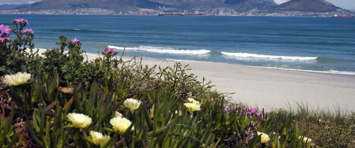 A beach with mountains in the background, flowers in the foreground, and a ship on the water.