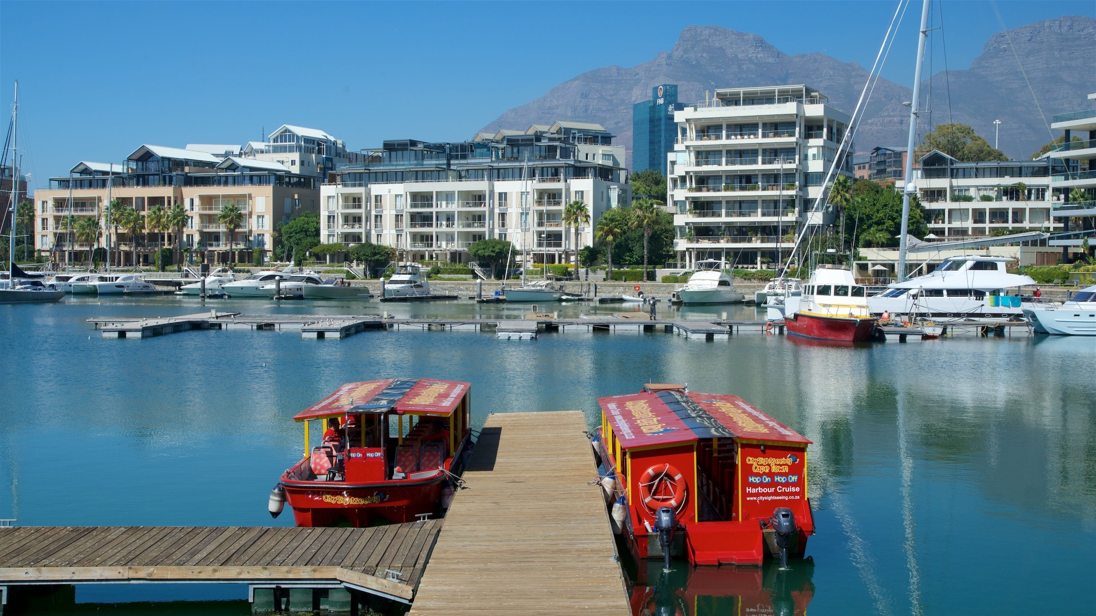Victoria and Alfred Waterfront showing a marina