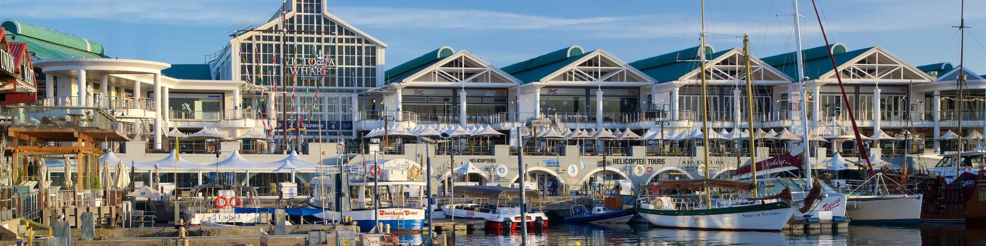 Victoria and Alfred Waterfront featuring a marina