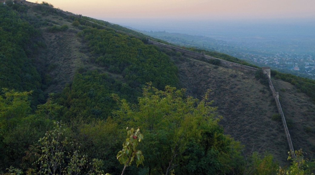 You can climb on Sighnaghi's city walls and enjoy beautiful views of the Kakheti landscapes.