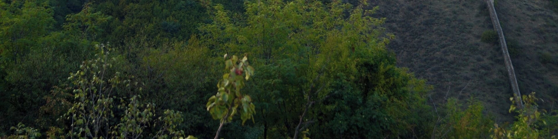 You can climb on Sighnaghi's city walls and enjoy beautiful views of the Kakheti landscapes.