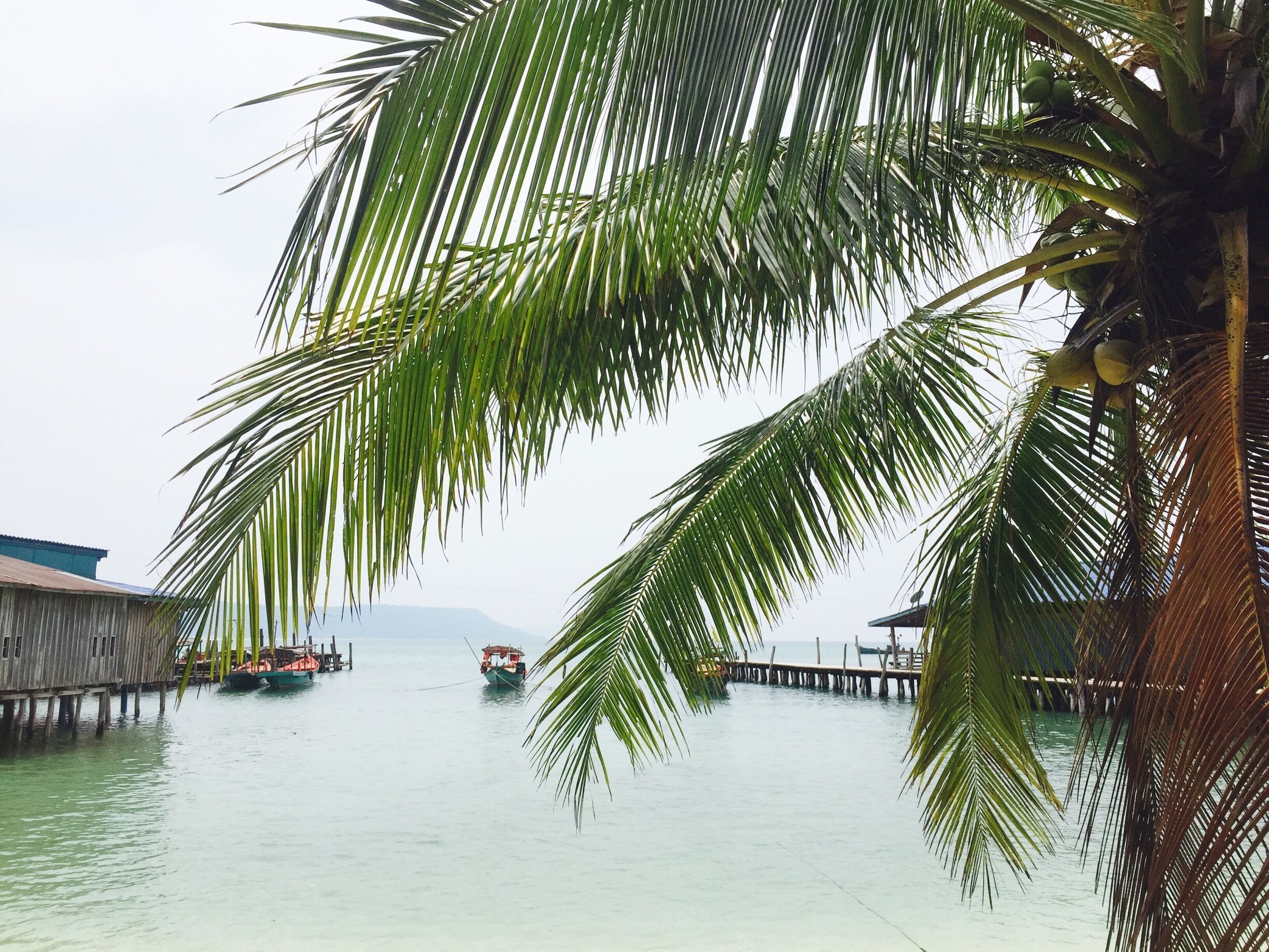 Great place to relax from the craziness of Cambodia's city life and sightseeing 🌴🏝☀️