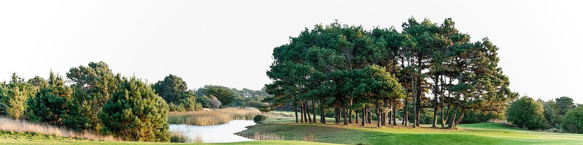 Golf Course, Sea Ranch, California